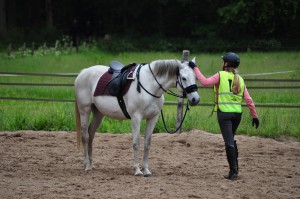 paard wedstrijd TREC