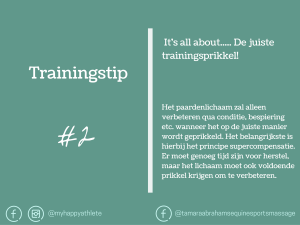 training tips paard