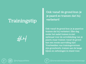 paard trainen tips