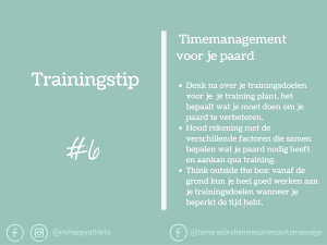 training tips paard timemanagement