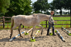 oefeningen souplesse coördinatie