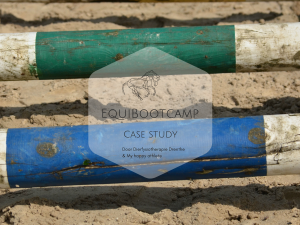 EquiBootcamp case study