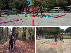 ervaring met EquiBootcamp fitness training voor paarden